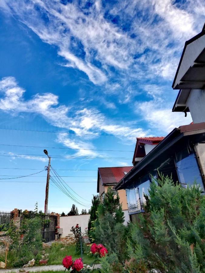 Casa Alba 호텔 Năvodari 외부 사진