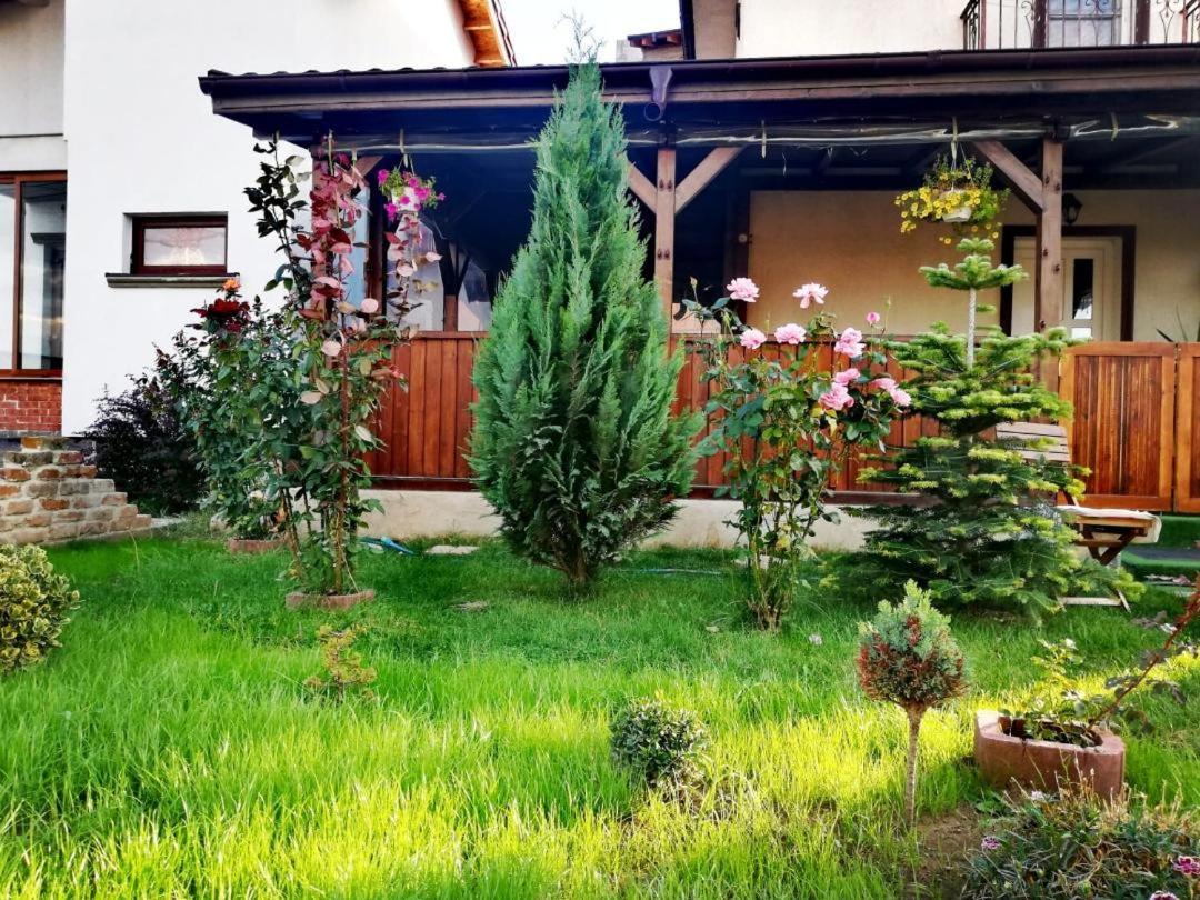 Casa Alba 호텔 Năvodari 외부 사진