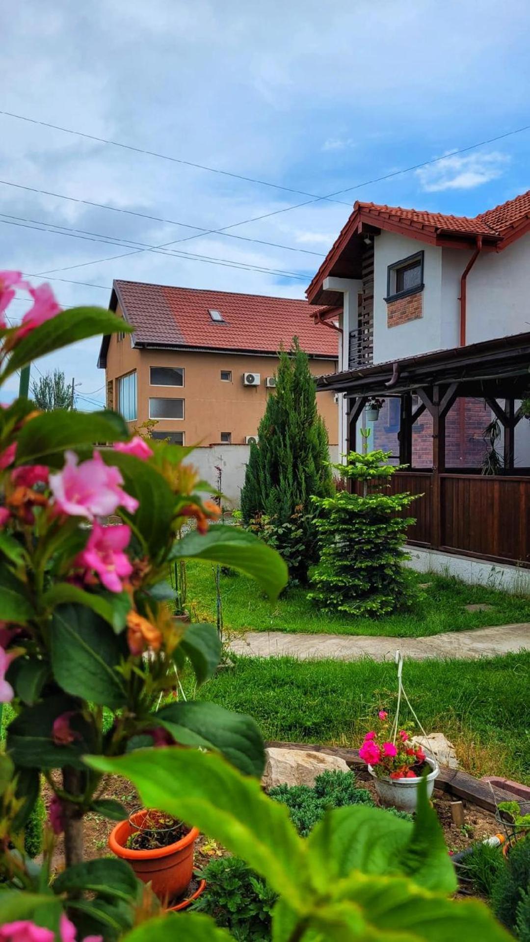 Casa Alba 호텔 Năvodari 외부 사진