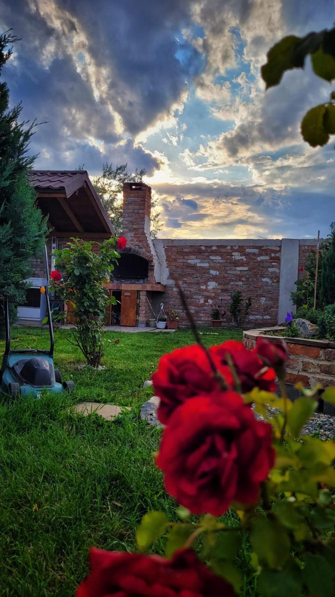 Casa Alba 호텔 Năvodari 외부 사진