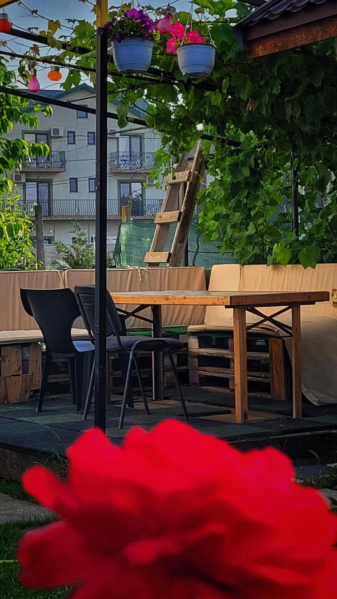 Casa Alba 호텔 Năvodari 외부 사진