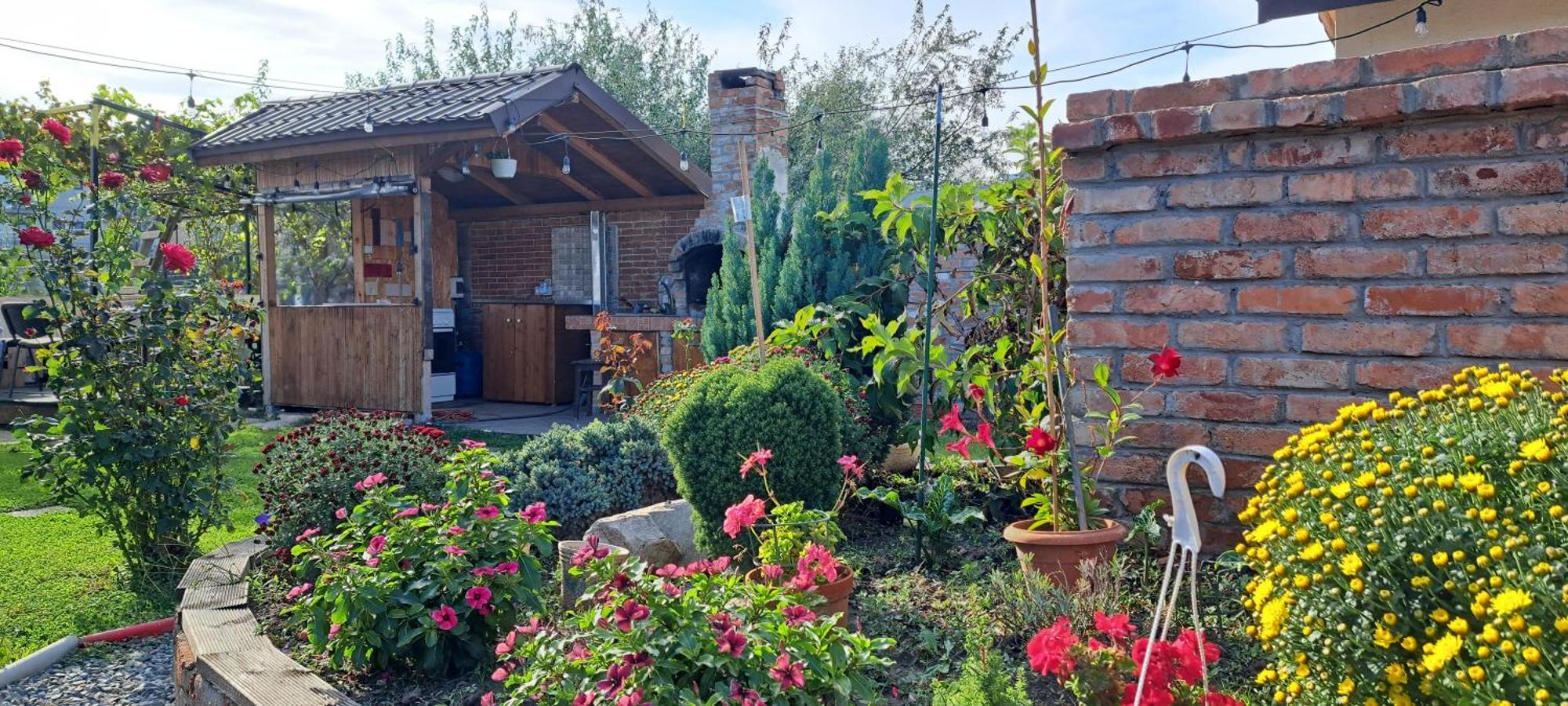 Casa Alba 호텔 Năvodari 외부 사진